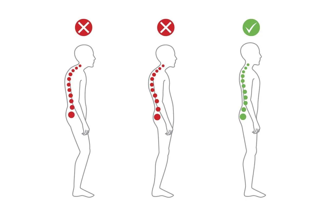 A person standing with healthy, balanced spinal alignment in a bright, modern studio.