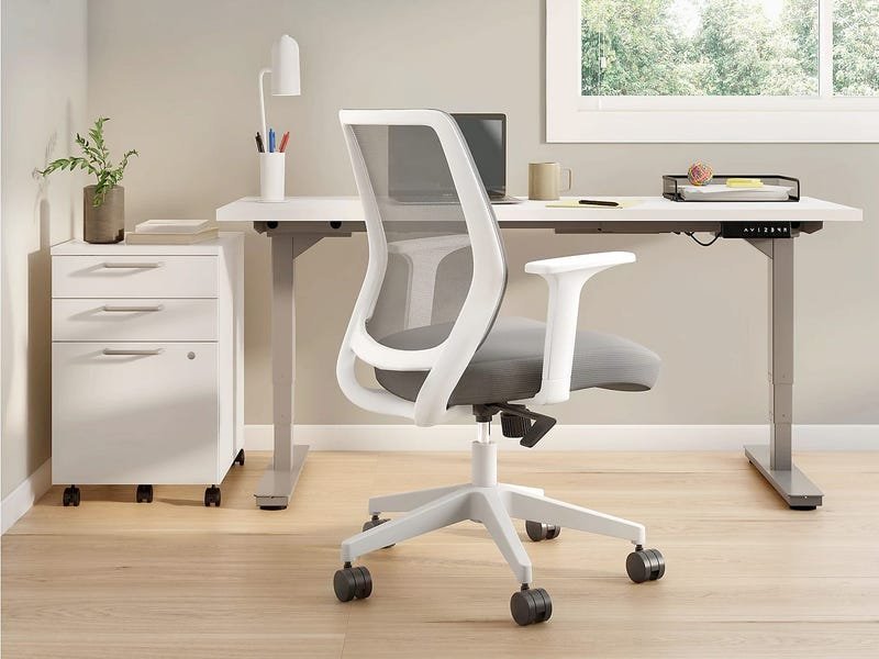 A variety of stylish chairs displayed in a bright modern showroom for interior inspiration.