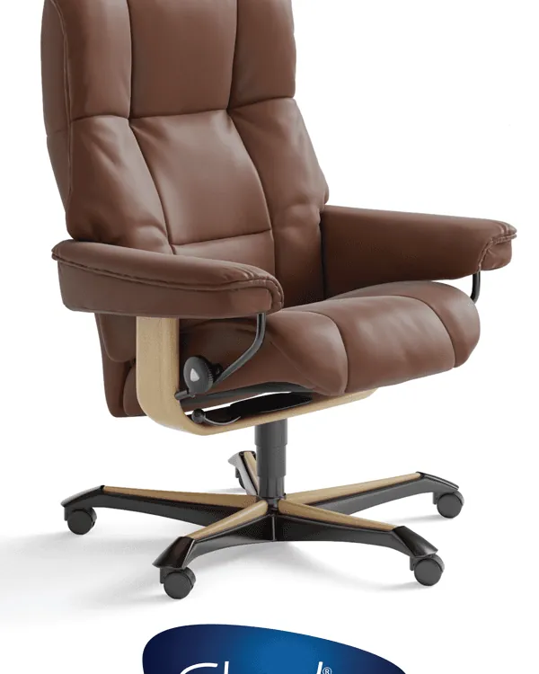Two different ergonomic office chairs displayed side by side for comparison.